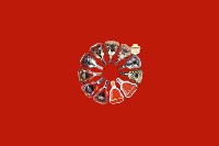 上栗回收红酒